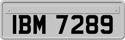 IBM7289