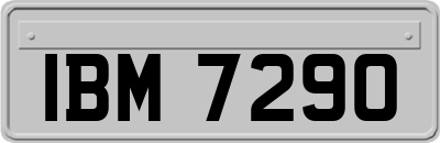 IBM7290