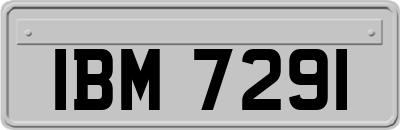 IBM7291