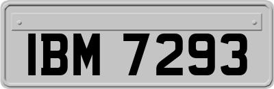 IBM7293