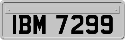 IBM7299