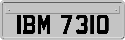 IBM7310