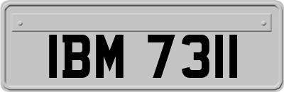 IBM7311