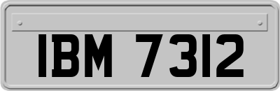 IBM7312