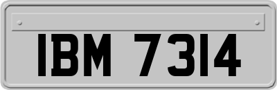 IBM7314