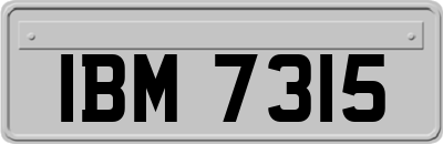 IBM7315