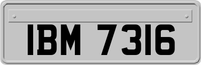 IBM7316