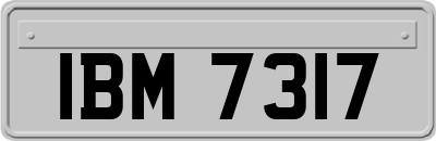 IBM7317