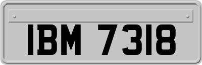 IBM7318