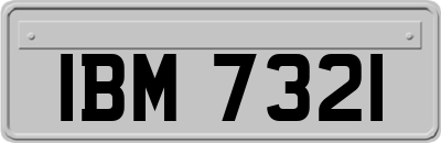 IBM7321