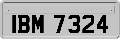 IBM7324