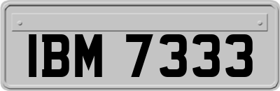 IBM7333