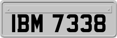 IBM7338