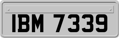 IBM7339