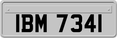 IBM7341