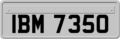 IBM7350