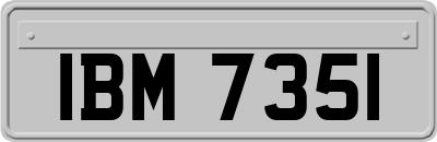 IBM7351