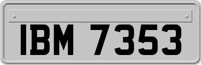 IBM7353