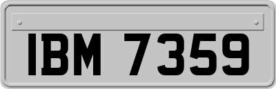 IBM7359