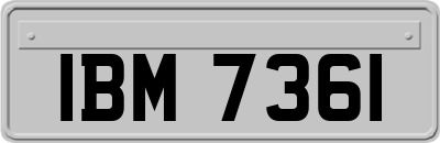 IBM7361