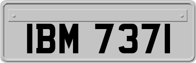 IBM7371