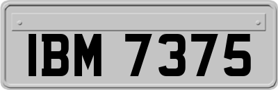 IBM7375