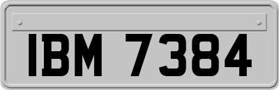 IBM7384