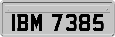 IBM7385