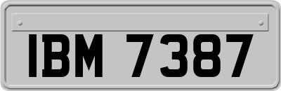 IBM7387