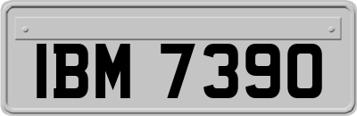 IBM7390