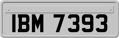 IBM7393