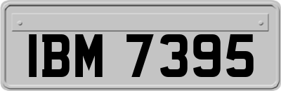 IBM7395