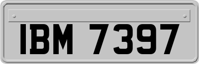 IBM7397