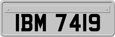 IBM7419