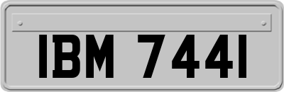 IBM7441