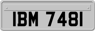 IBM7481