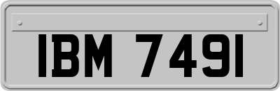 IBM7491