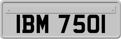 IBM7501