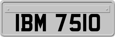 IBM7510