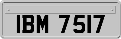 IBM7517