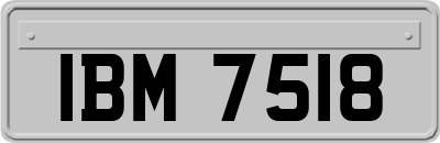 IBM7518