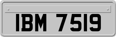 IBM7519