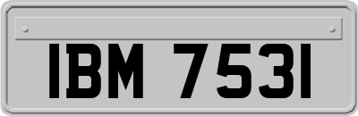 IBM7531