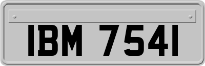 IBM7541