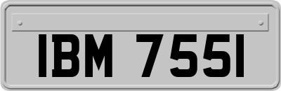 IBM7551