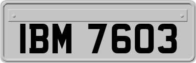 IBM7603