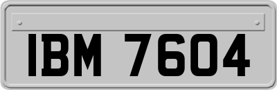 IBM7604