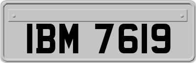 IBM7619