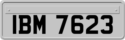 IBM7623