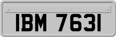 IBM7631